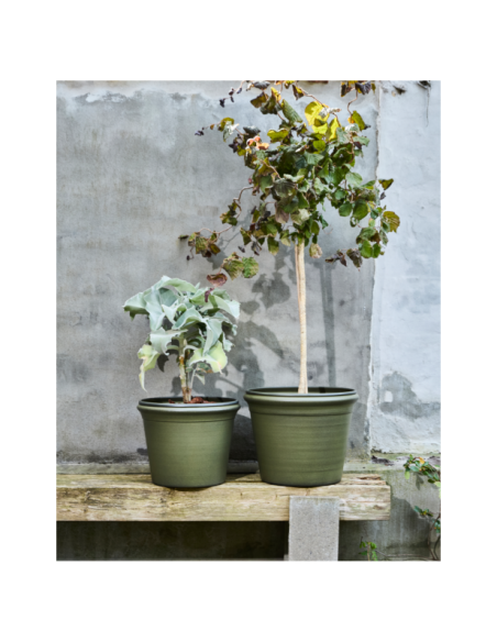 Maceta IVY, Verde - House Doctor