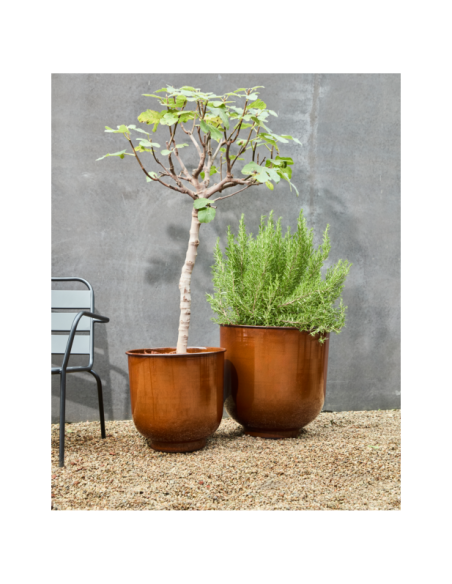 Maceta COVE, Marrón - House Doctor