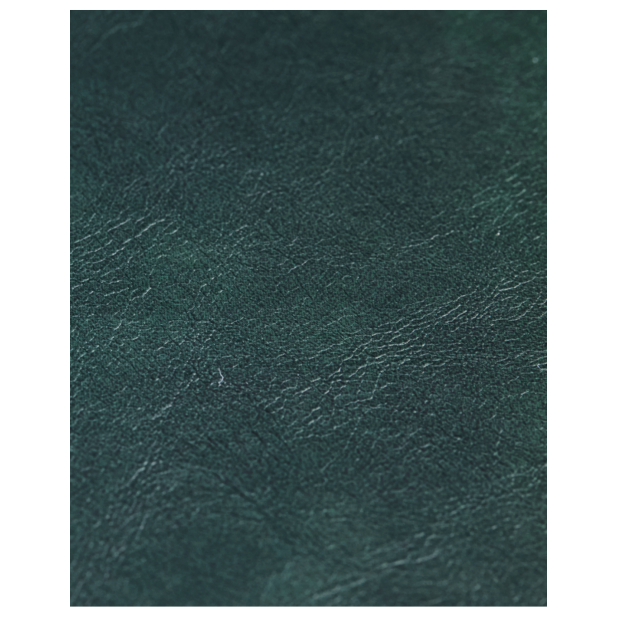 Silla COMMA, Verde Oscuro - House Doctor