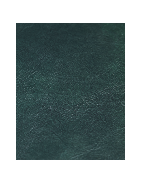 Silla COMMA, Verde Oscuro - House Doctor