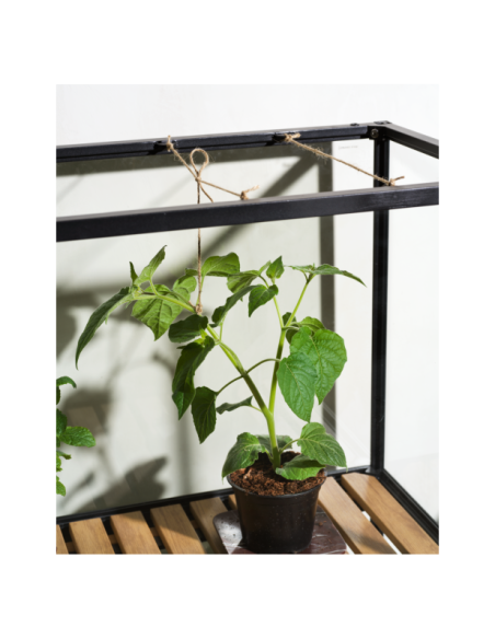 Vitrina Invernadero Ext GROWER GREENS Alto 137 cm, Metal Negro / Natural - Brafab