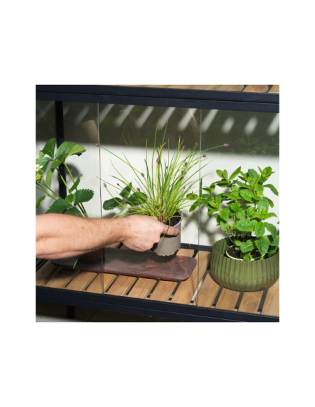 Vitrina Invernadero Ext GROWER GREENS Alto 137 cm, Metal Negro / Natural - Brafab