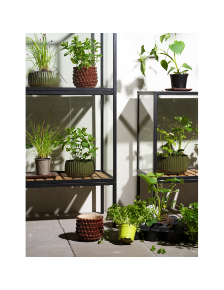 Vitrina Invernadero Ext GROWER GREENS Alto 82 cm, Metal Negro / Natural - Brafab