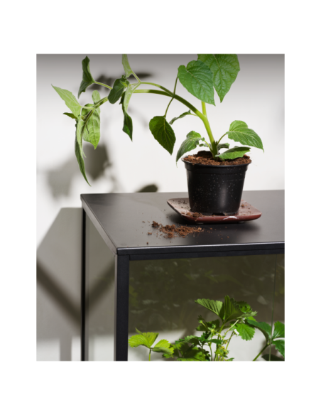 Vitrina Invernadero Ext GROWER GREENS Alto 82 cm, Metal Negro / Natural - Brafab