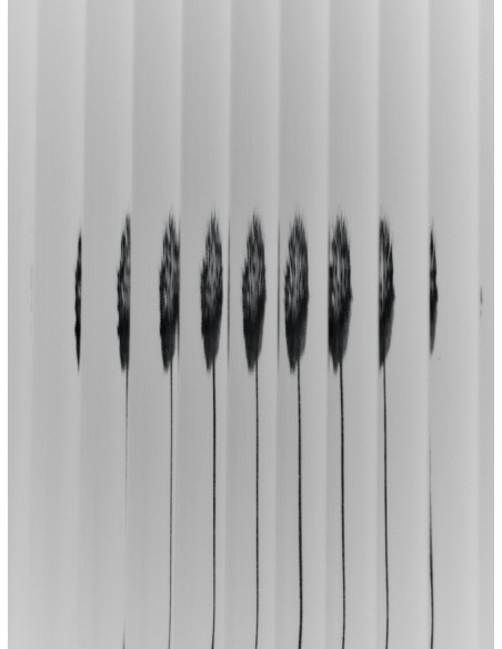 Aparador HAZE 35x100 cm, Cristal Estriado / Metal Beige - Ferm Living