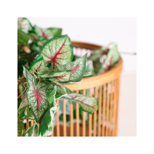 Set 3 Maceteros ARTEAGA, Bambú /...