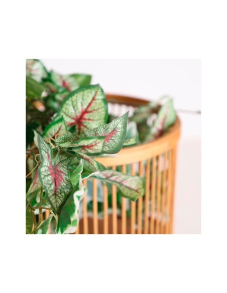 Set 3 Maceteros ARTEAGA, Bambú / Marrón - Kodu Home Design