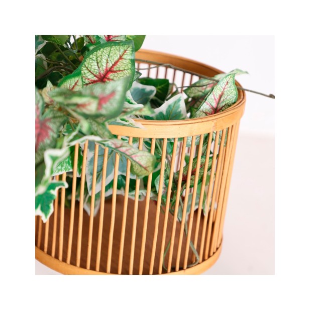 Set 3 Maceteros ARTEAGA, Bambú /...