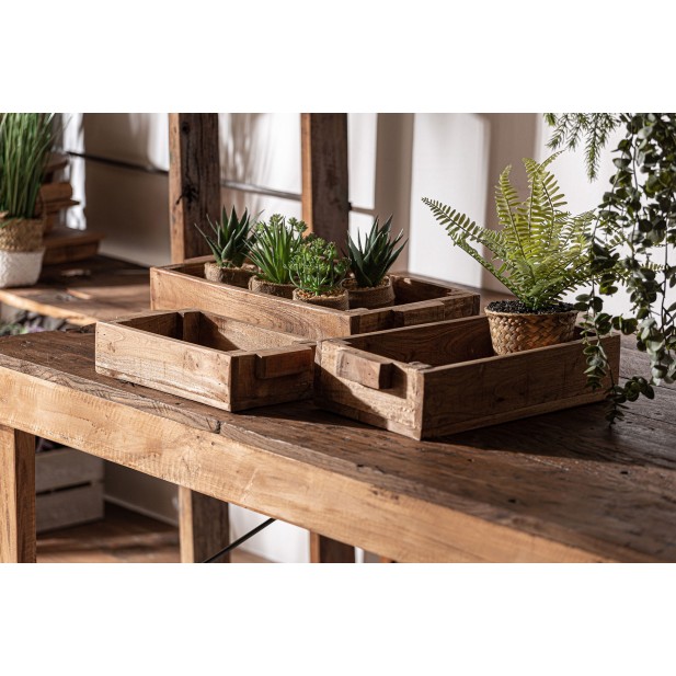 Set 3 Cajas AKVIRAN, Caoba / Marrón -...