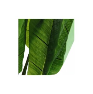 Planta Deco BANANERA 220x120cm, Plástico/Verde- Kodu Home Design 37690 2
