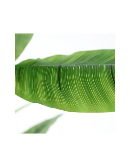 Planta Decorativa BANANERA 280x120 cm, Plástico / Verde, Marrón - Kodu Home Design