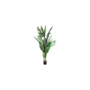 Planta Deco KENTIA 200x75 cm, Plástico/Verde - Kodu Home Design; 37694