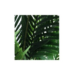 Planta Deco KENTIA 200x75 cm, Plástico/Verde - Kodu Home Design; 37694 2