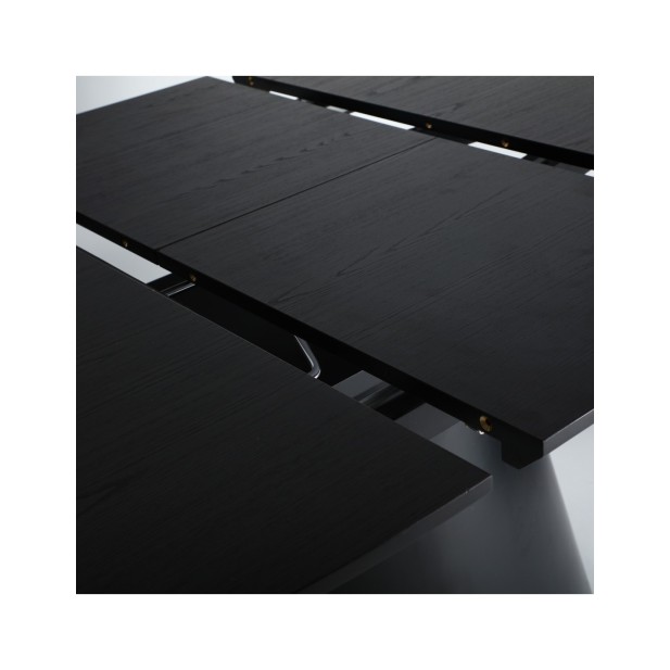 Mesa Extensible LIZANT 160/200x100...