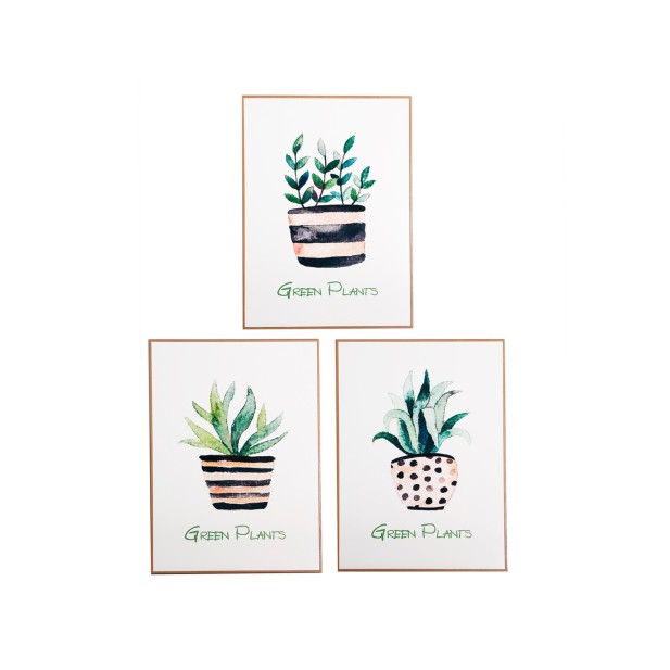 Set 3 Cuadros ELA 60x80 cm,...