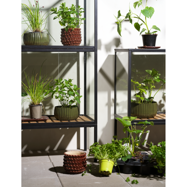 Vitrina Invernadero Ext GROWER GREENS...