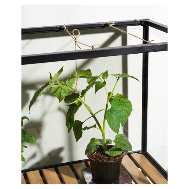 Vitrina Invernadero Ext GROWER GREENS...