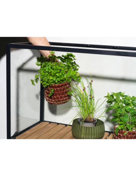 Vitrina Invernadero Ext GROWER GREENS Alto 137 cm, Metal Negro / Natural - Brafab