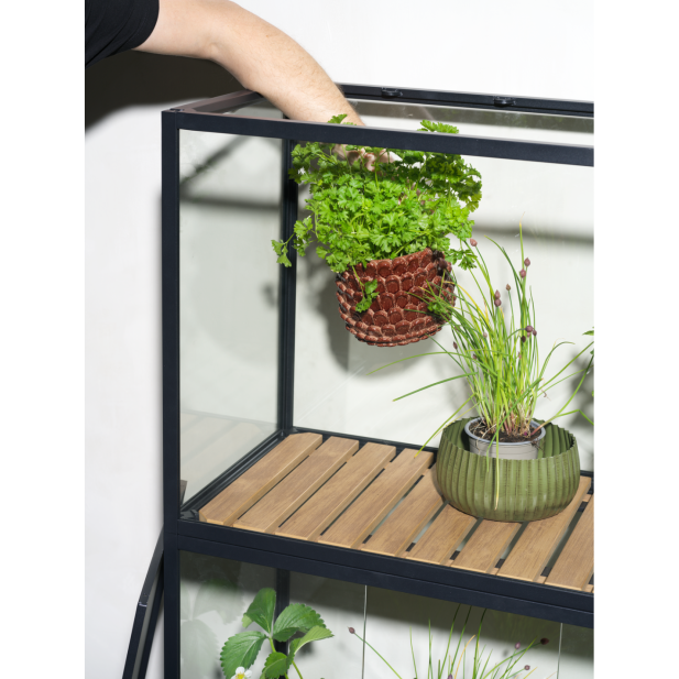 Vitrina Invernadero Ext GROWER GREENS...