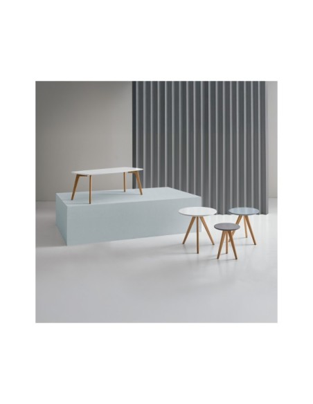 Mesa de Centro RANMA, DM Blanco / Madera de Roble