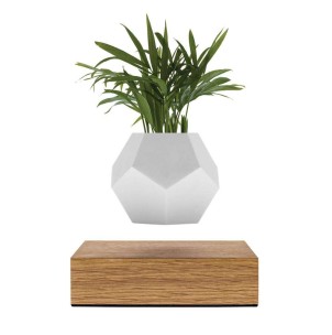 Macetero flotante PLANTER - Flyte. Diseño e innovación en Vackart.