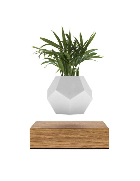 Macetero flotante PLANTER - Flyte