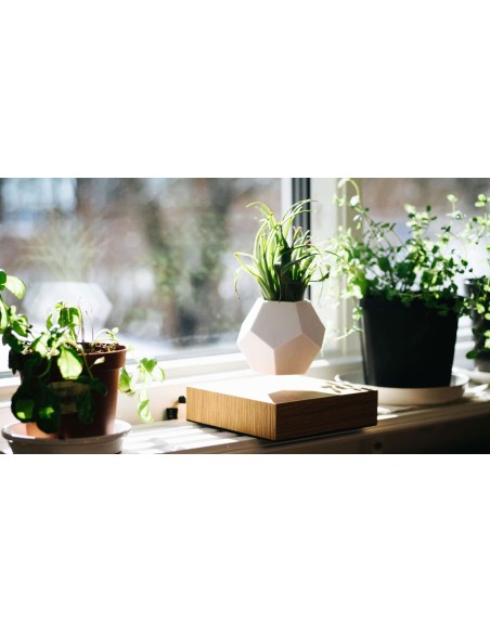 Macetero flotante PLANTER - Flyte