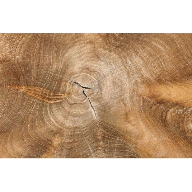Mesa Auxiliar ERUPTA Ø50 cm, Teca Reciclada - Dareels. Vackart Mesa Auxiliar ERUPTA Ø50 cm, Teca Reciclada - Dareels. Vackart