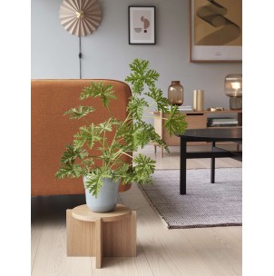 Soporte para Plantas NOMAD, Roble Natural - Hübsch. Vackart 2