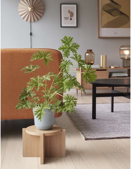 Soporte para Plantas NOMAD, Roble Natural - Hübsch. Vackart