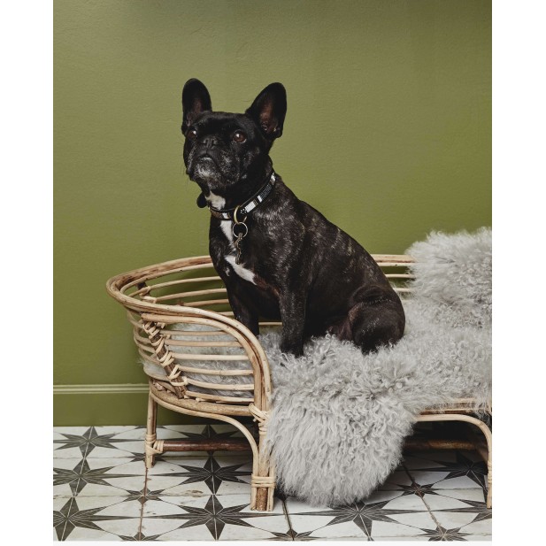 Cama para Perro IRIRI, Ratán Natural - Nordal. Vackart