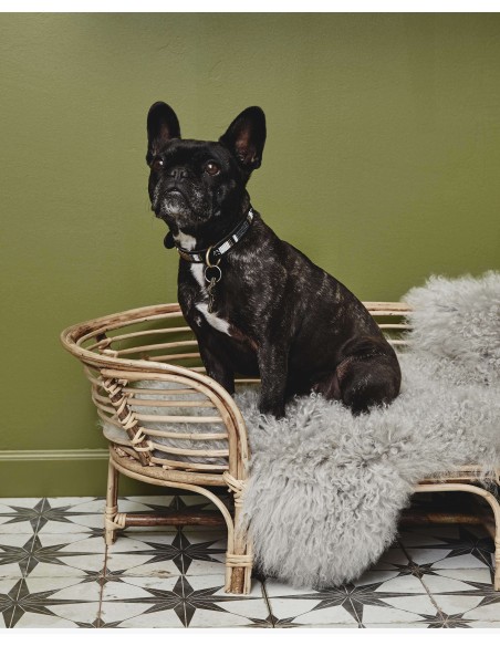 Cama para Perro IRIRI, Ratán Natural - Nordal. Vackart