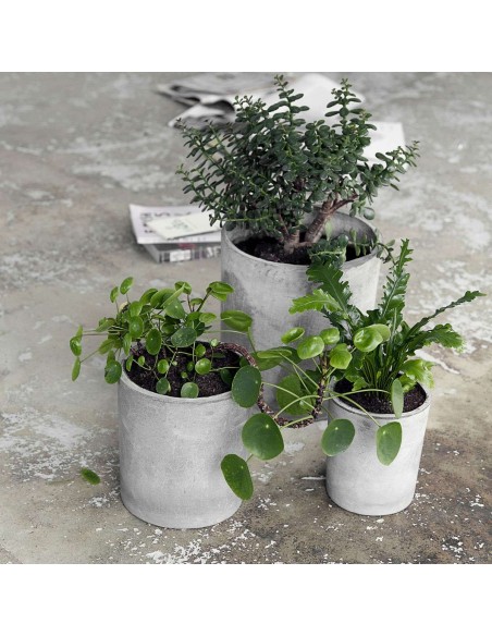 Set 3 Macetas AVE, Cemento Gris - House Doctor. Vackart