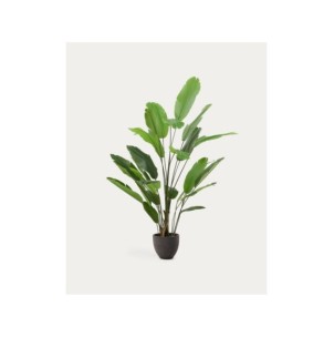 Planta artificial Banano con maceta negra 210 cm - Kave Home