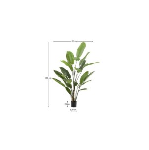 Planta artificial Banano con maceta negra 210 cm - Kave Home 2