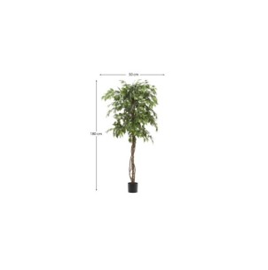 Árbol artificial Ficus con maceta negra 180 cm - Kave Home 2