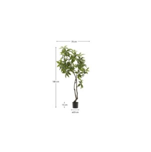 Árbol artificial Pachira con maceta negra 180 cm - Kave Home 2