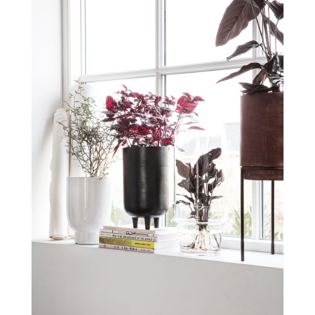 Maceta, HDJang, Negro oxidado - House... Maceta, HDJang, Negro oxidado - House...