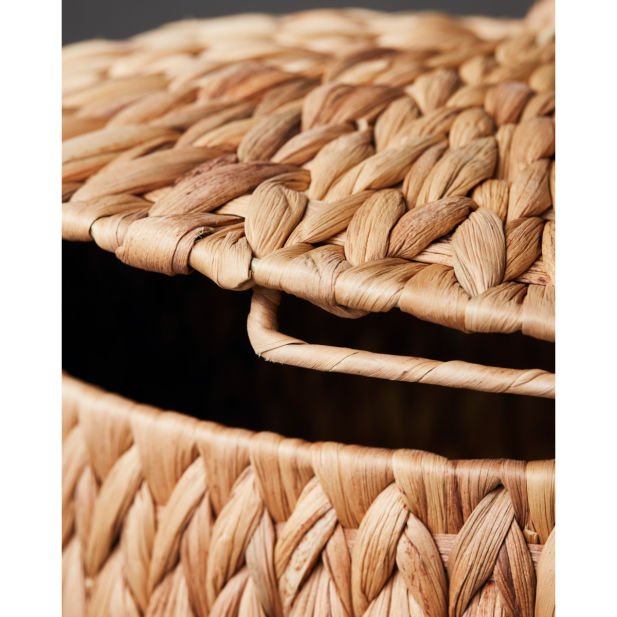 Cajas de almacenamiento, HDRata,...