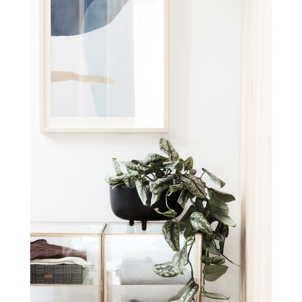 Maceta, HDJela, Negro oxidado - House...