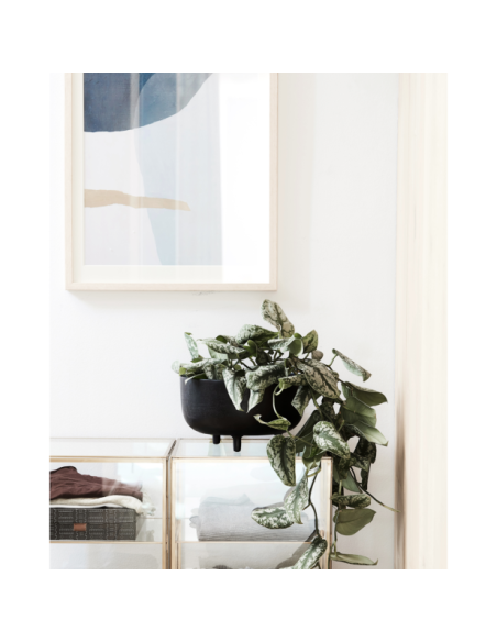 Maceta, HDJela, Negro oxidado - House Doctor