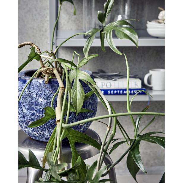 Maceta, HDPavi, Azul - House Doctor Maceta, HDPavi, Azul - House Doctor