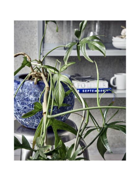 Maceta, HDPavi, Azul - House Doctor