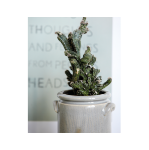 Macetero, HDPottery XL, Arena - House Doctor 2