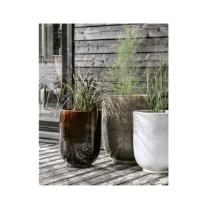 Maceta, HDPho, Turrón - House Doctor 2