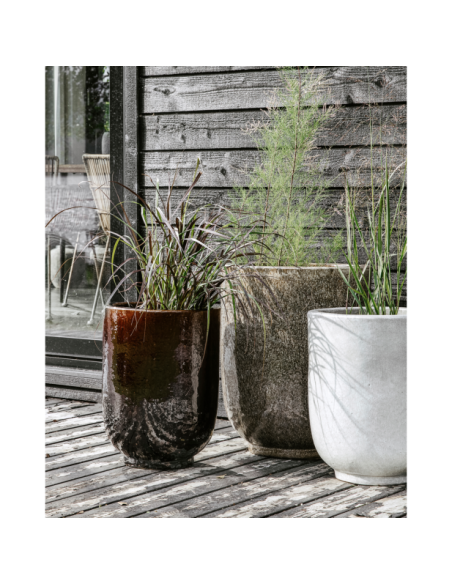 Maceta, HDPho, Turrón - House Doctor