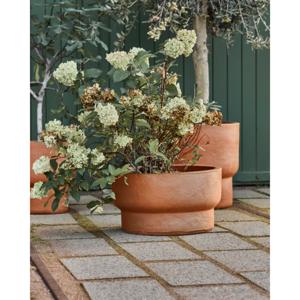 Maceta, HDTerra, Marrón antiguo -... Maceta, HDTerra, Marrón antiguo -...