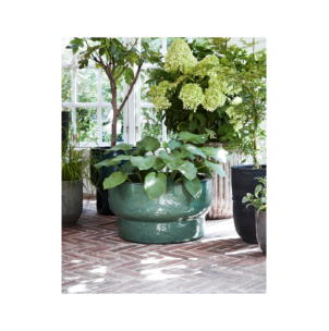 Maceta, HDTerra, Verde - House Doctor 2