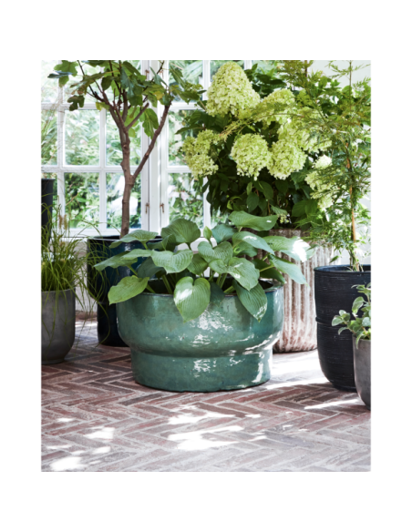 Maceta, HDTerra, Verde - House Doctor