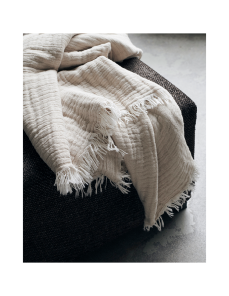 Manta, HDAlice, Beis - House Doctor